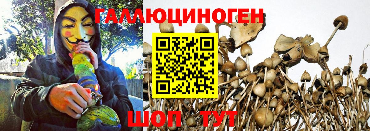 Галлюциногенные грибы прущие грибы  Вход с VPN  Дивногорск 