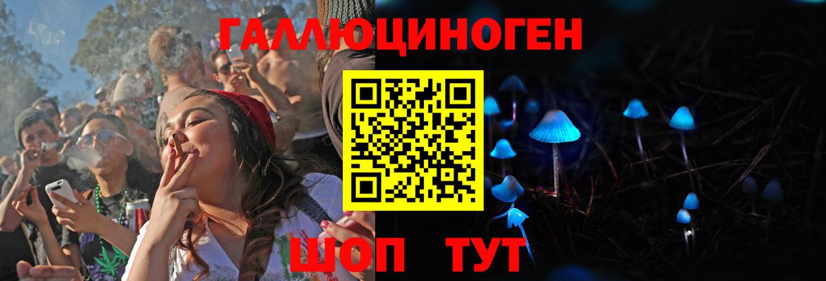 Галлюциногенные грибы Psilocybe Дивногорск